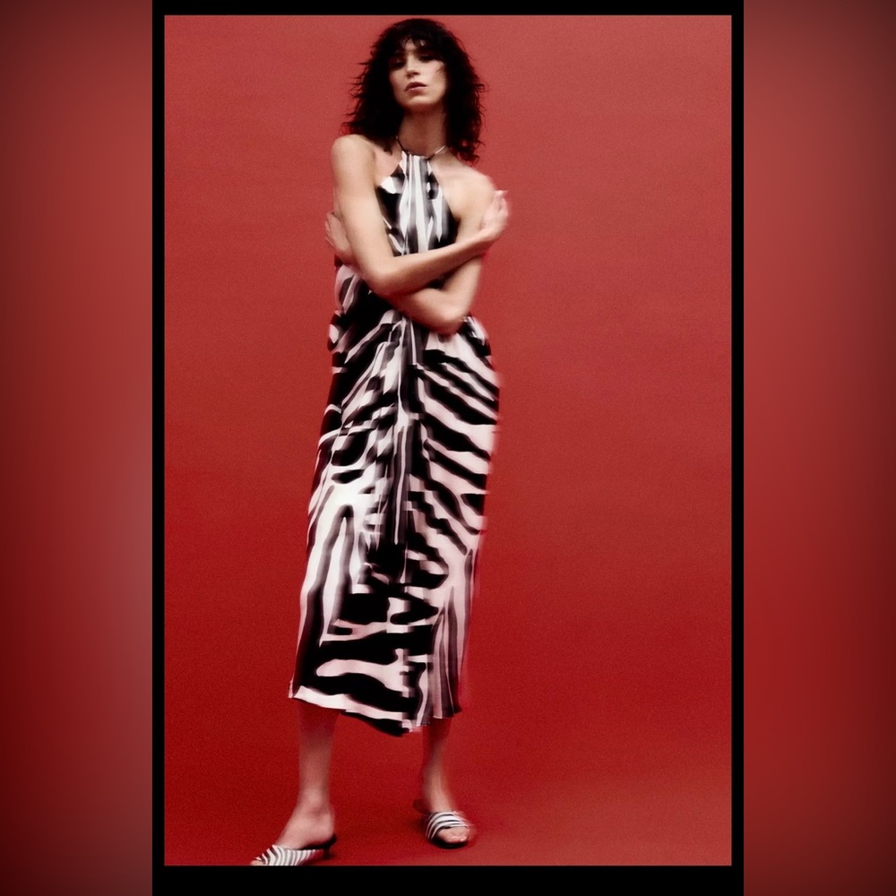 ZARA Black and White Zebra Print Dress